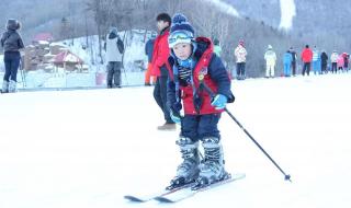 哈尔滨元旦起放寒假