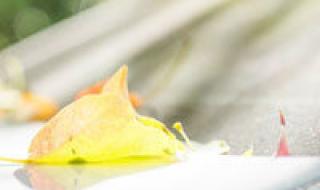 QQ头像要黑白动漫的,叼着烟的,急 QQ黑白照片