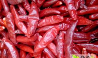 大蒜价格110 大蒜价格110