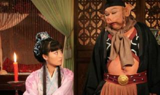 我爱猪八戒 我爱猪八戒