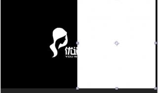 ai如何导入ae保留图层 aealpha通道