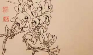 先生我喜欢你 先生我喜欢你