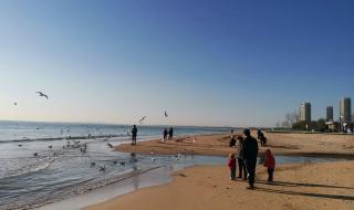 海鸥飞处彩云飞故事梗概 海鸥飞处彩云飞优酷