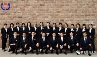 惊鸿一场情深一往 惊鸿一场情深一往