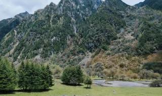 从四姑娘山回成都怎么走有班车吗 成都到四姑娘山路况