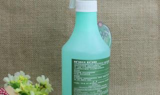 怎样训练泰迪狗狗自觉大小便 宠物狗怎样训大小便