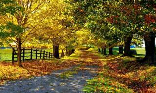 安卓平板动态壁纸全屏高清4k怎么换 宽屏桌面壁纸高清